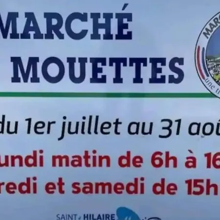 T3 Lumineux A Deux Pas De La شقة *