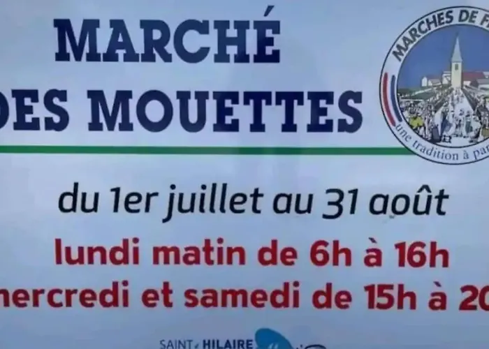 T3 Lumineux A Deux Pas De La Apartment *